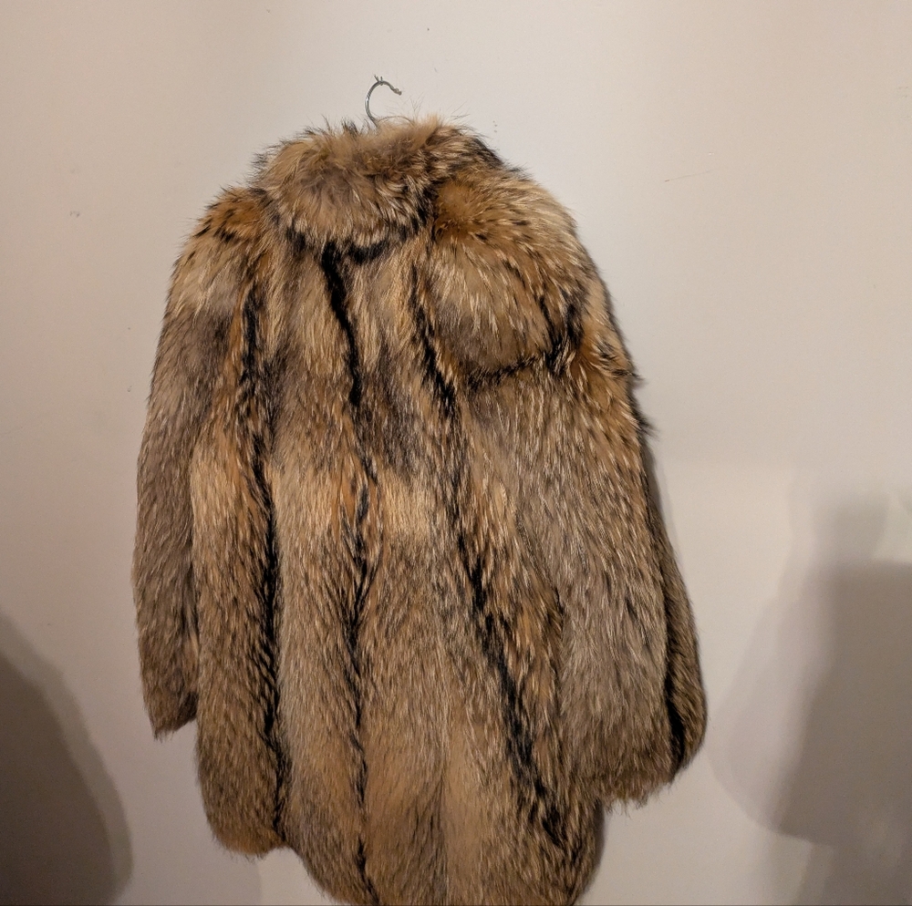Finn Raccon Coat - Picture 3 of 7